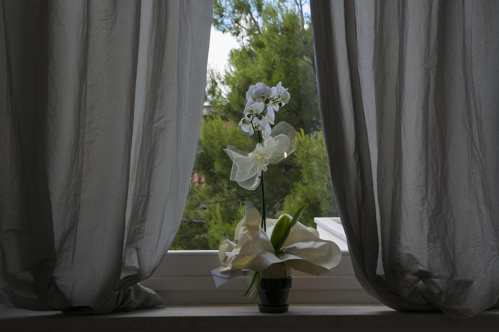 그로타마레 A Casa Di Lolu B&B 외부 사진